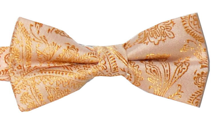Barnfluga Paisley Guld