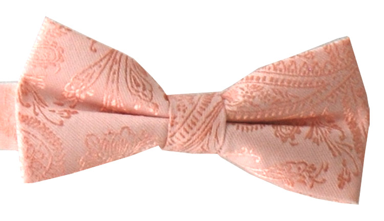 Barnfluga Paisley Laxrosa