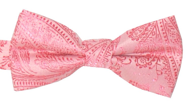 Barnfluga Paisley Rosa
