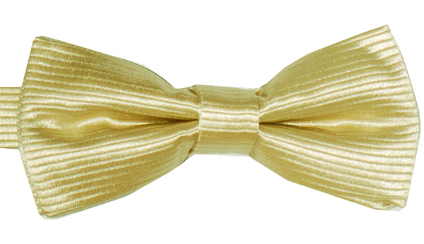 Barnfluga BF048