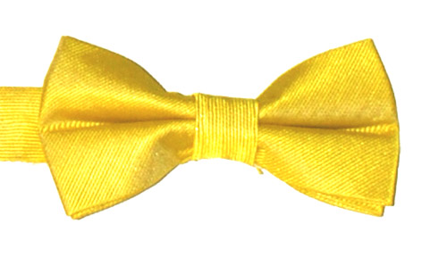 Barnfluga BF046