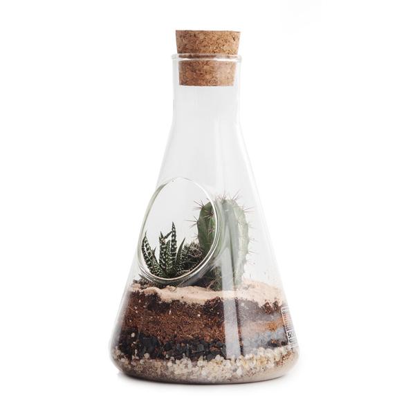 DIY Terrariumkit