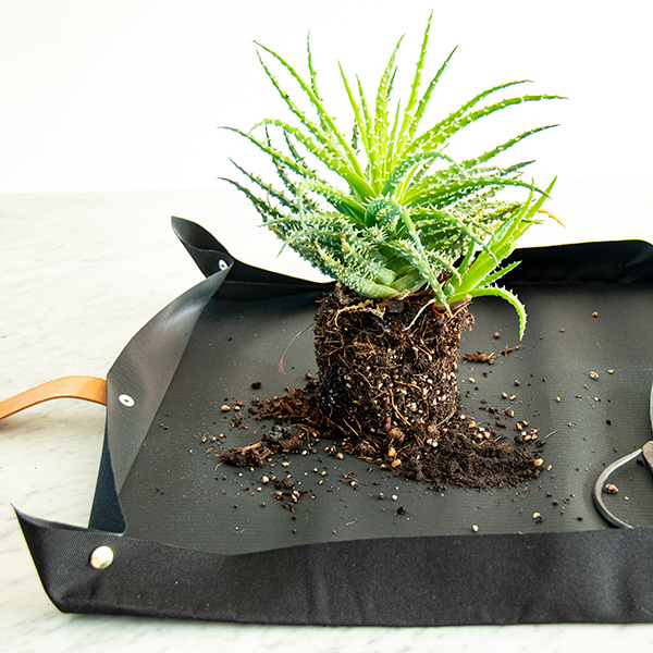 Planteringsmatta