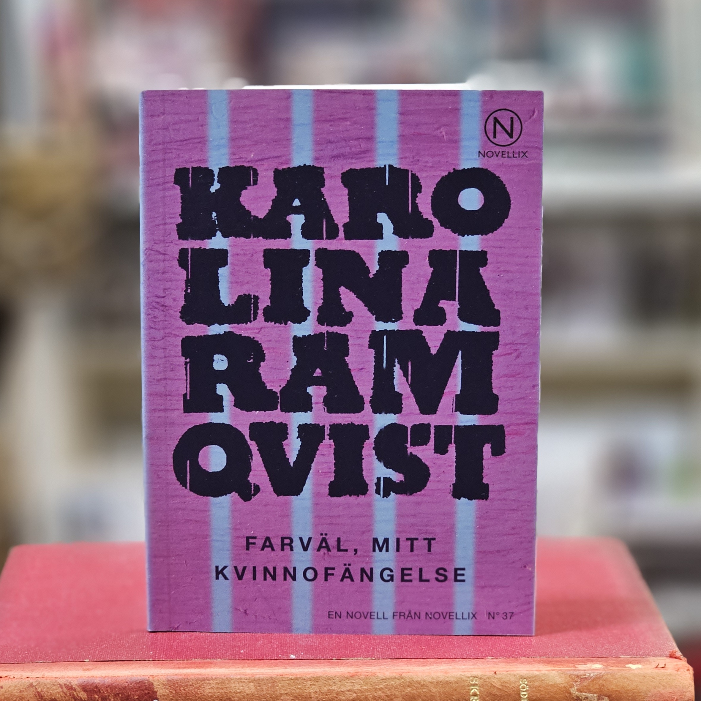 Novell - Farväl, mitt kvinnofängelse