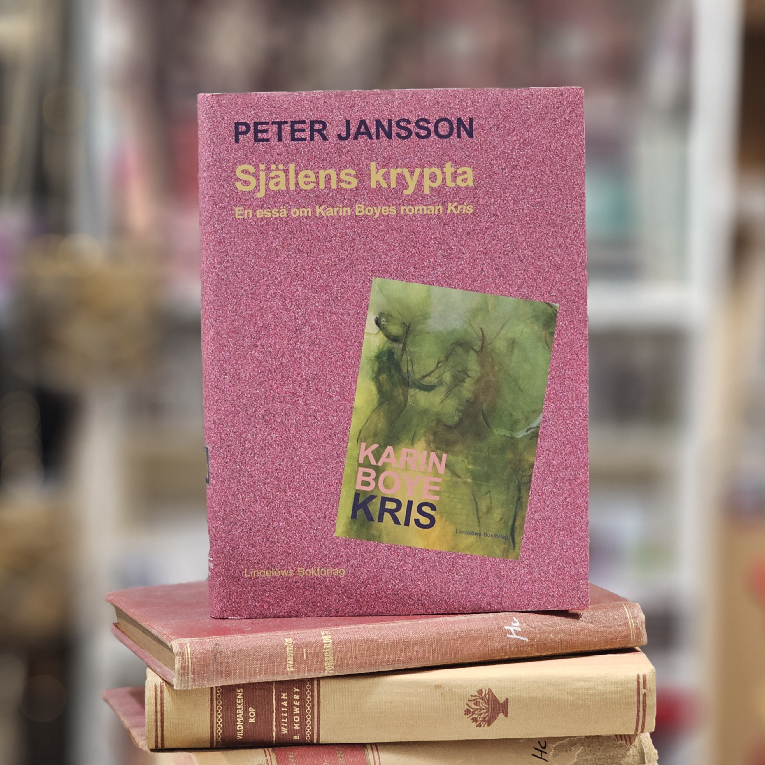 Bok - Själens krypta : En essä om Karin Boyes roman Kris