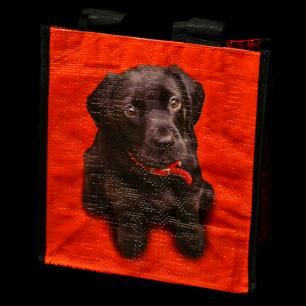 Påse - Hundvalp