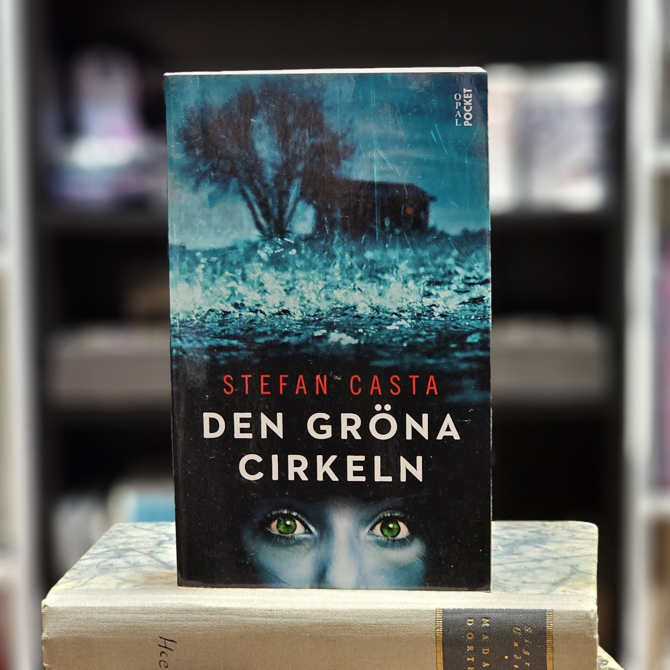 Bok - Den gröna cirkeln