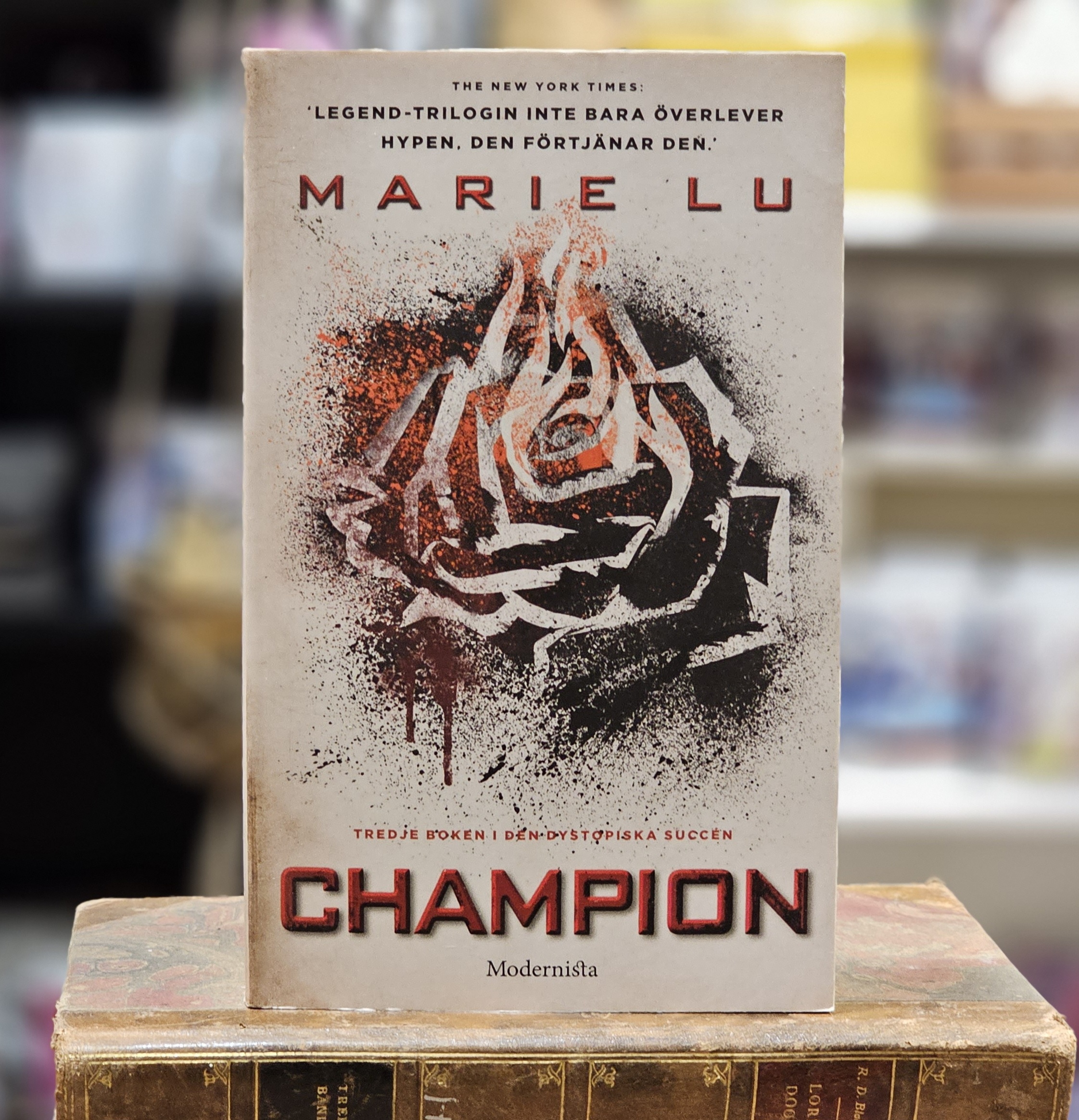 Bok - Champion