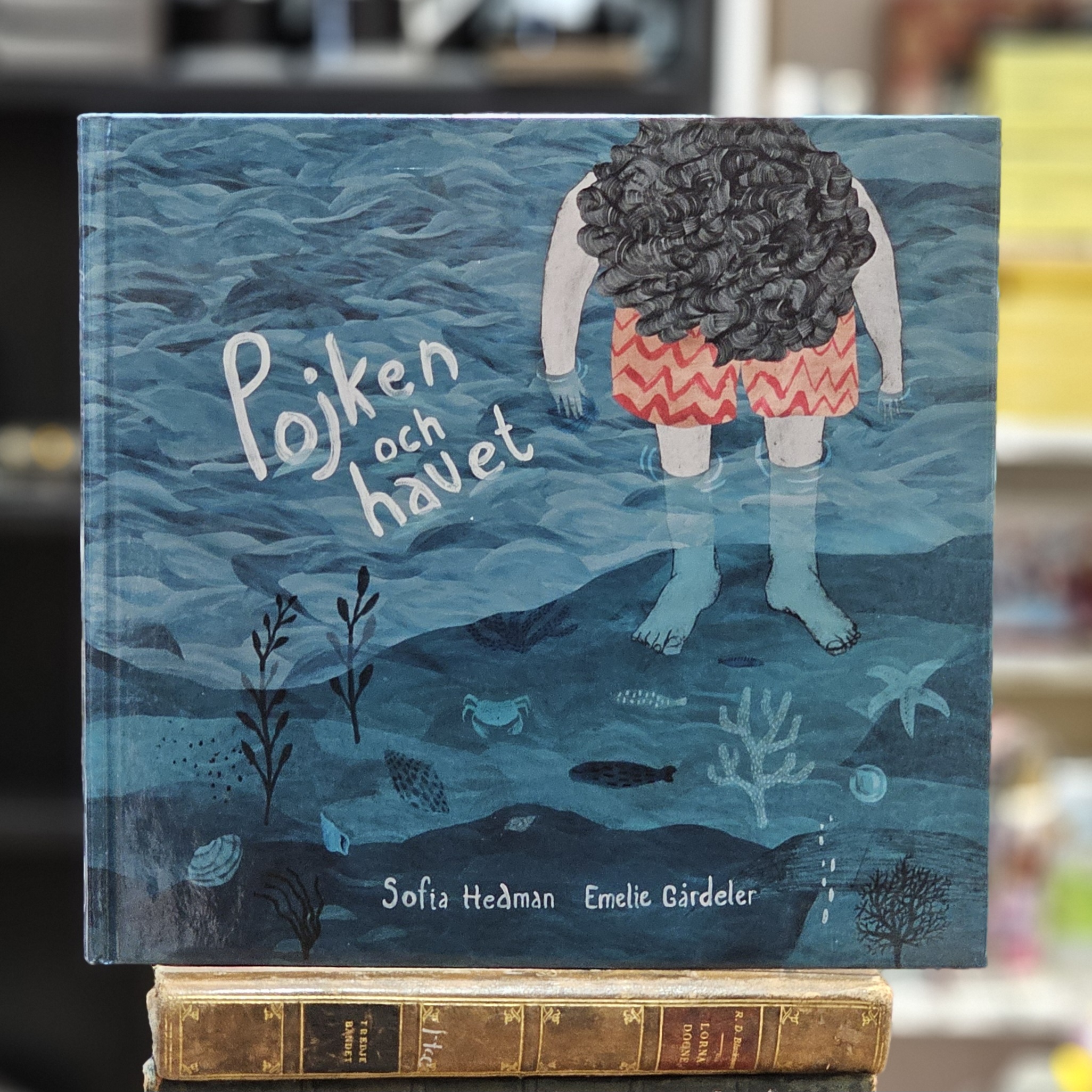 Bok - Pojken och havet