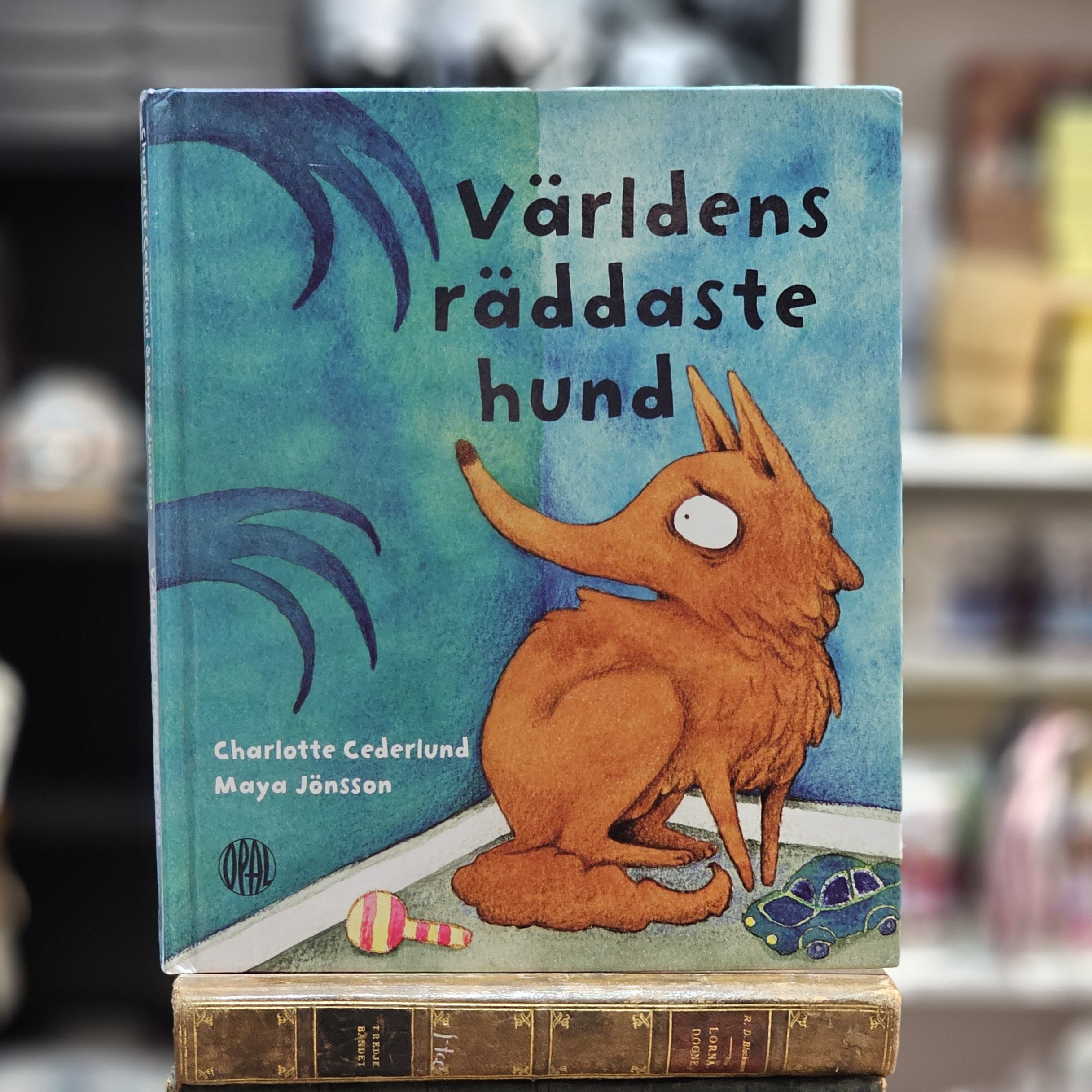 Bok - Världens räddaste hund