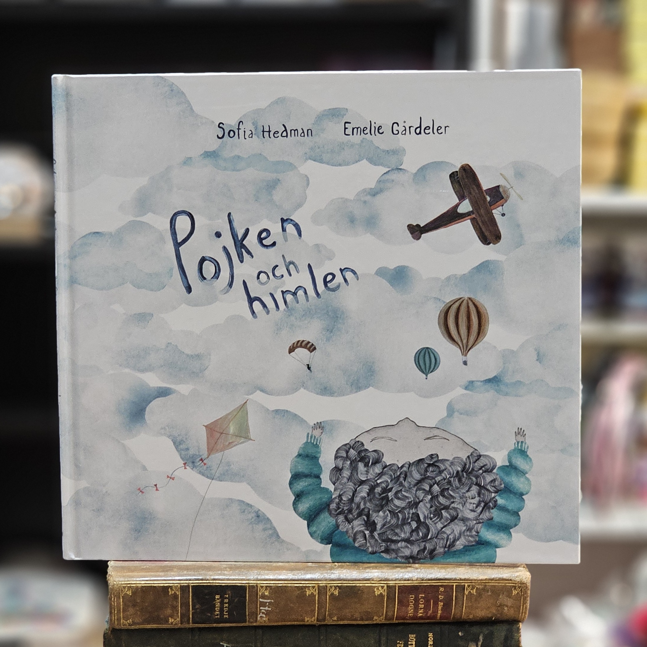 Bok - Pojken och himlen