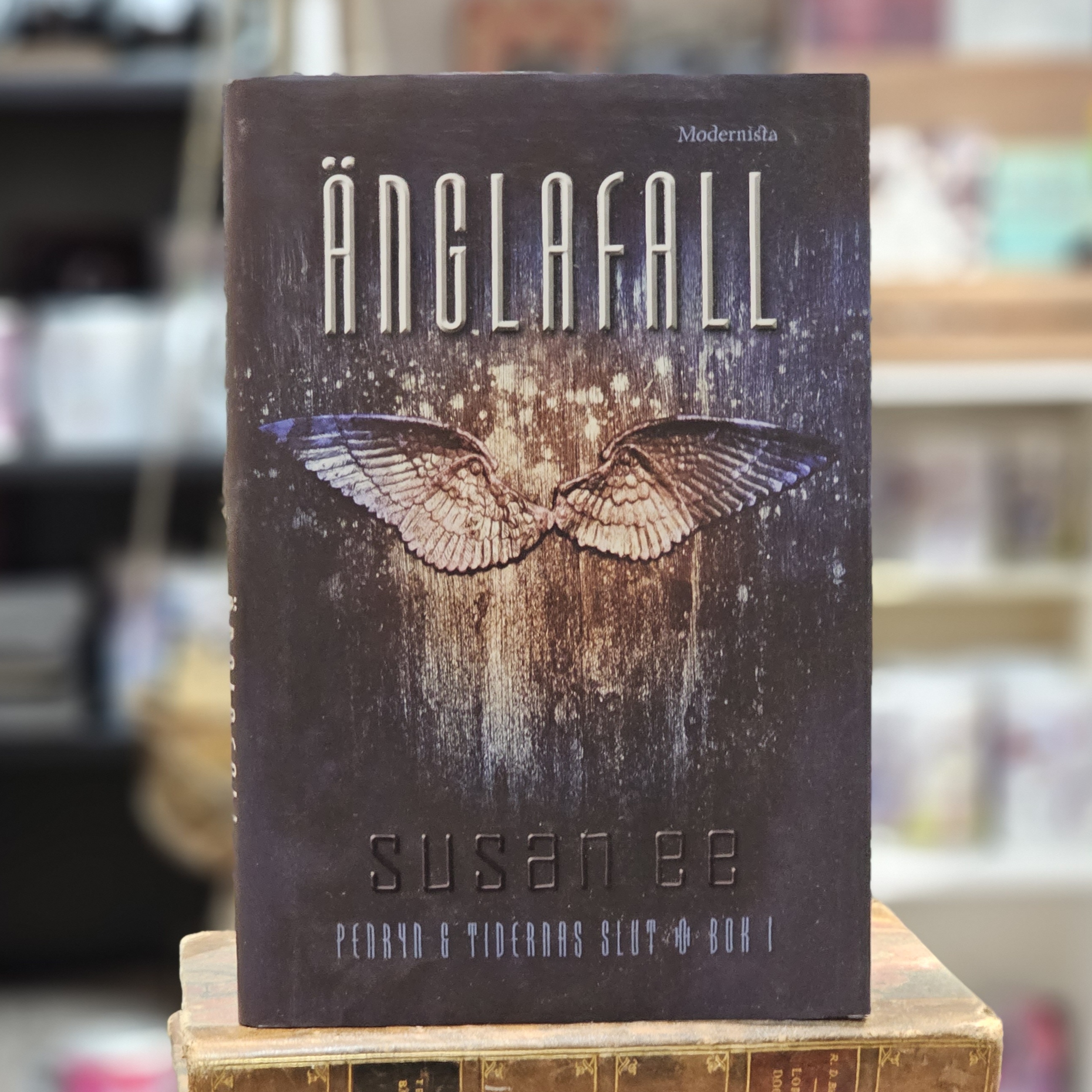 Bok - Änglafall