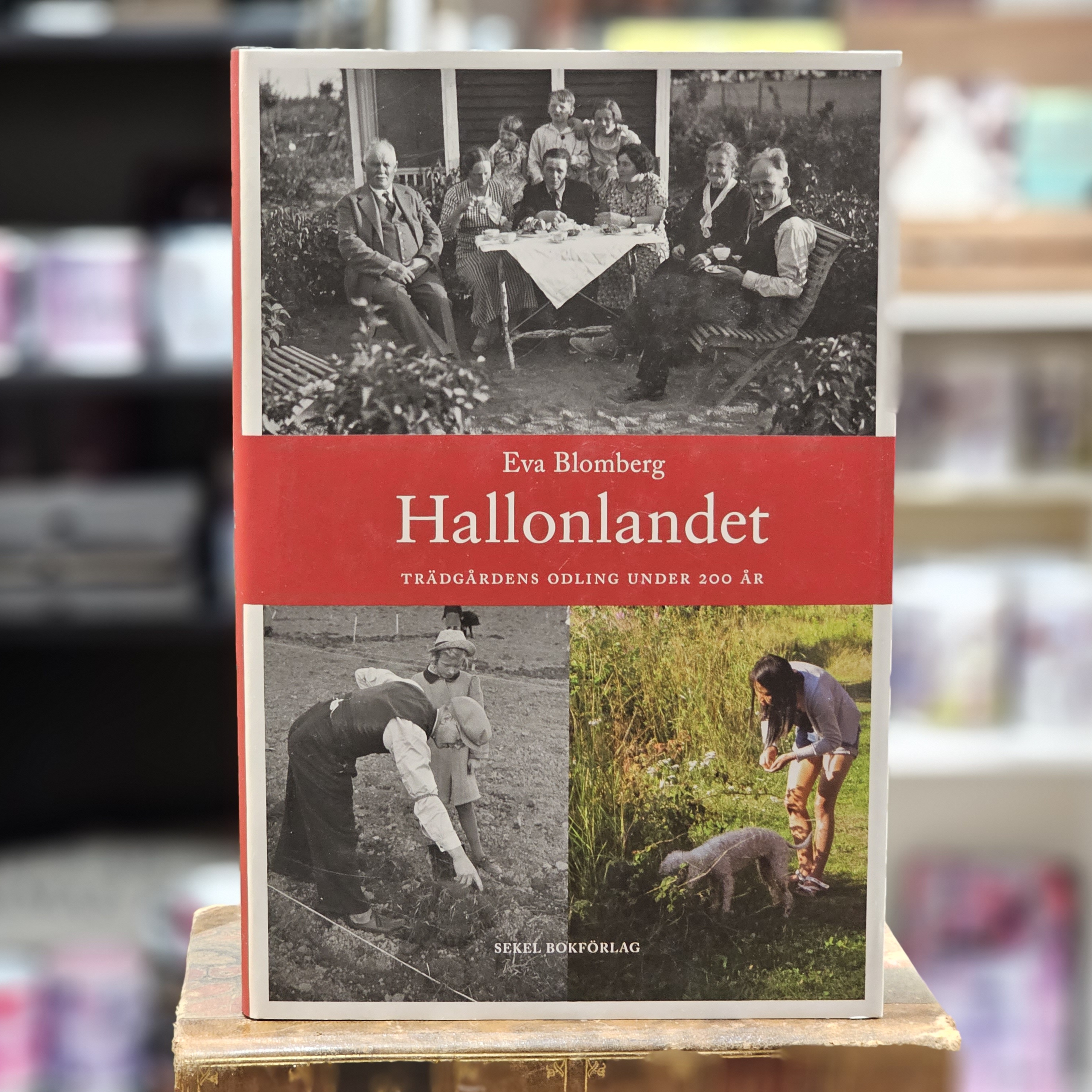 Bok - Hallonlandet