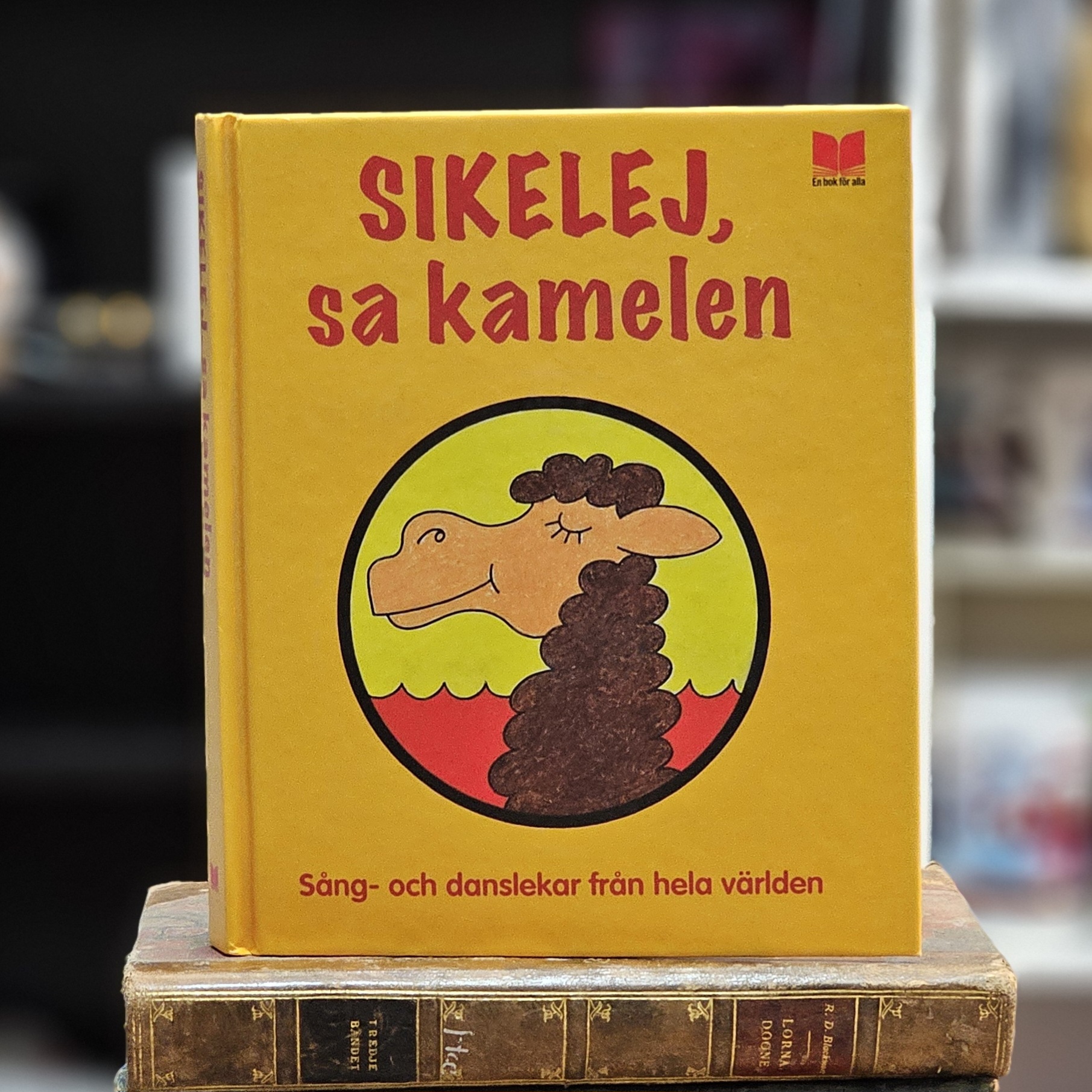 Bok - Sikelej, sa kamelen