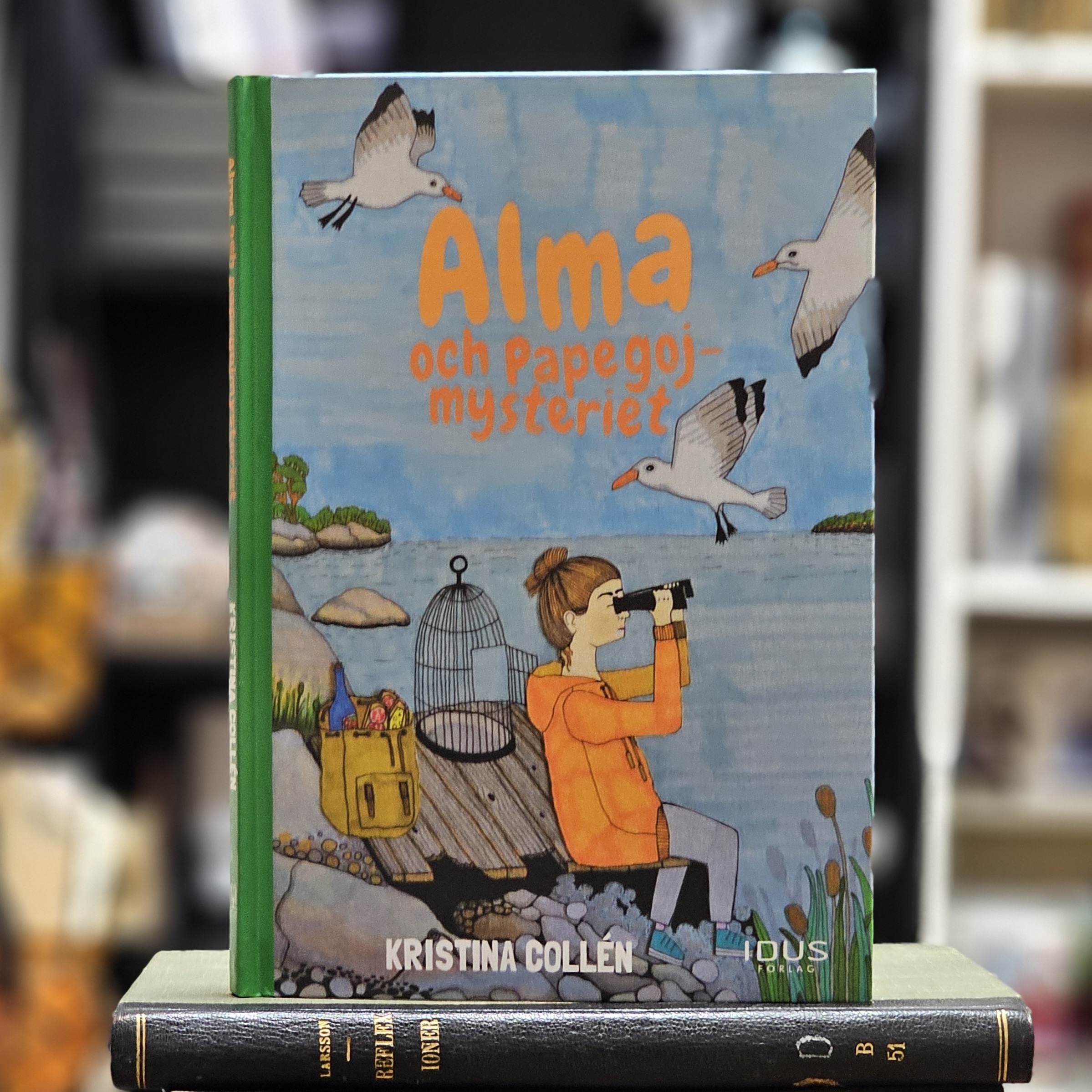 Bok - Alma och papegojmysteriet