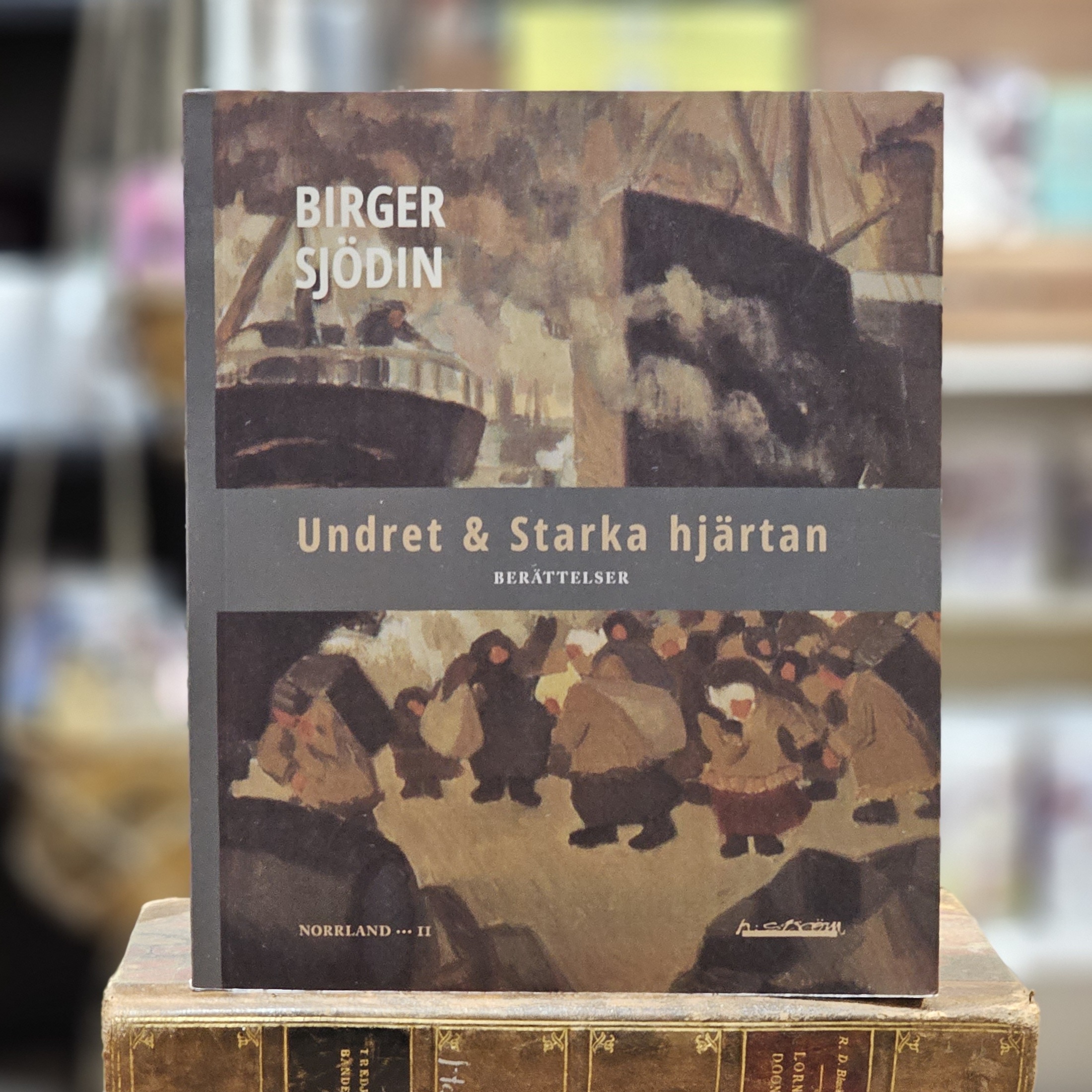 Bok - Undret & Starka hjärtan