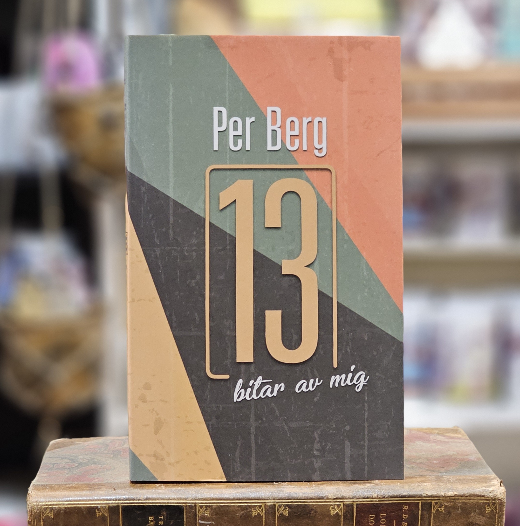 Bok - 13 bitar av mig