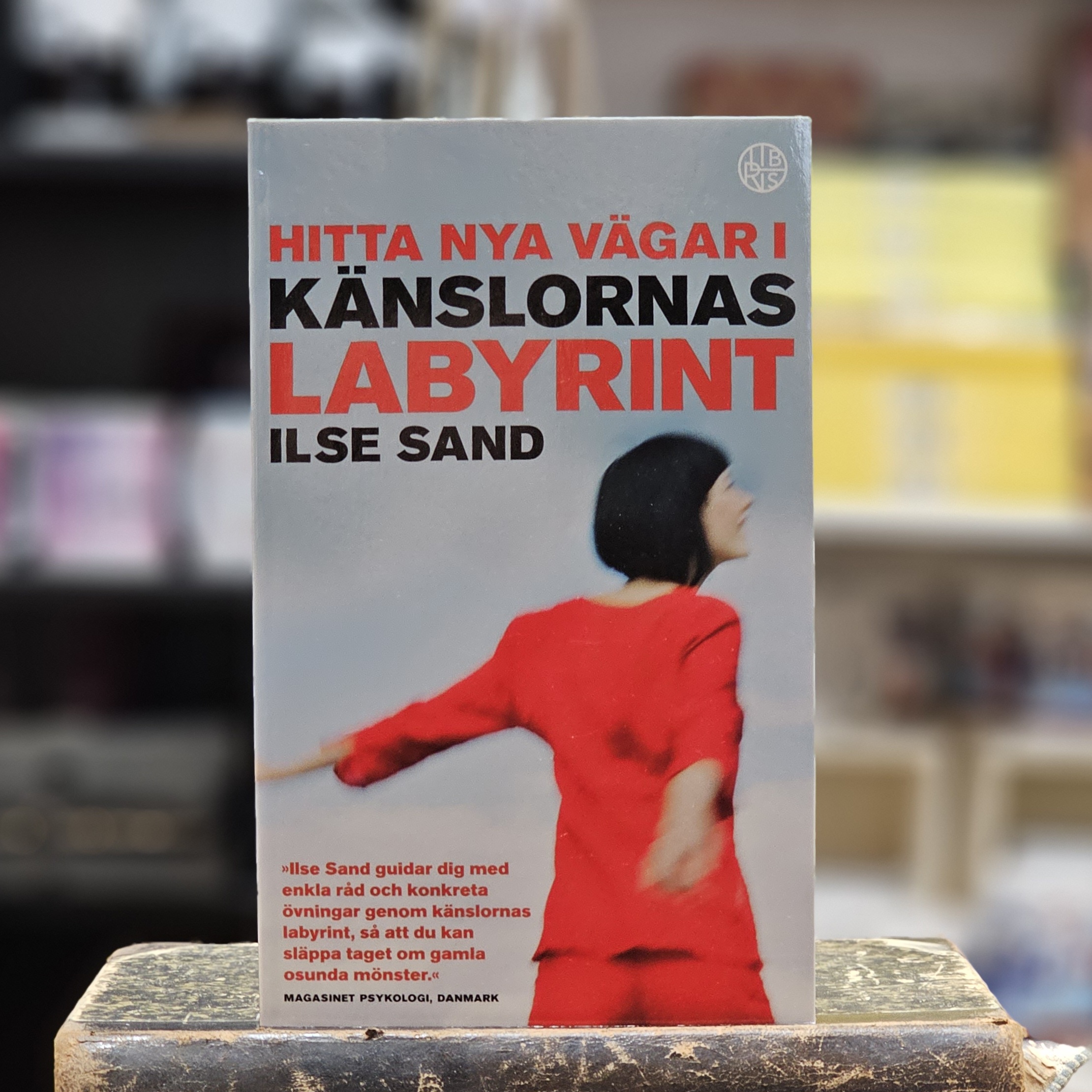 Bok - Hitta nya vägar i känslornas labyrint