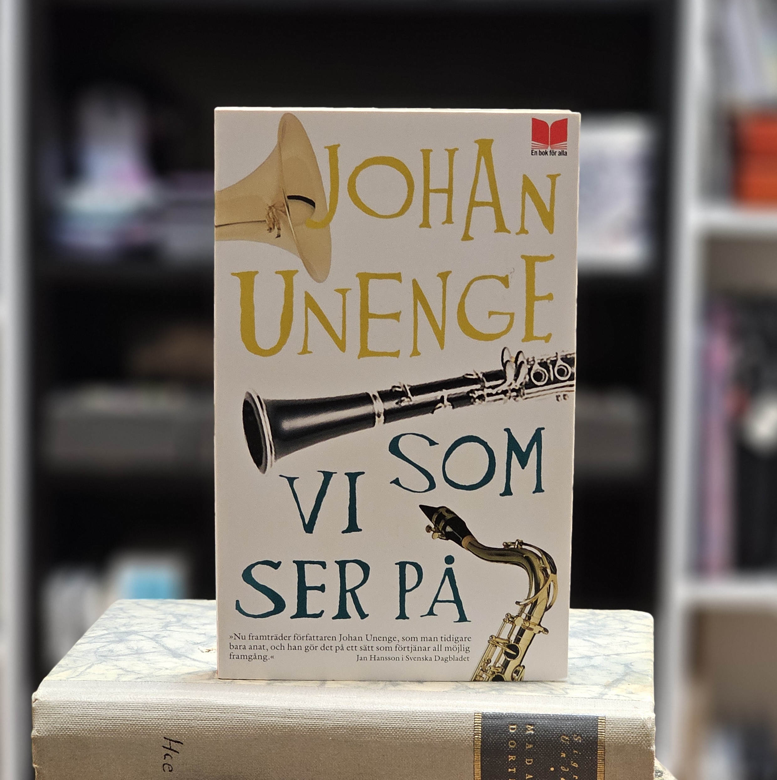 Bok - Vi som ser på