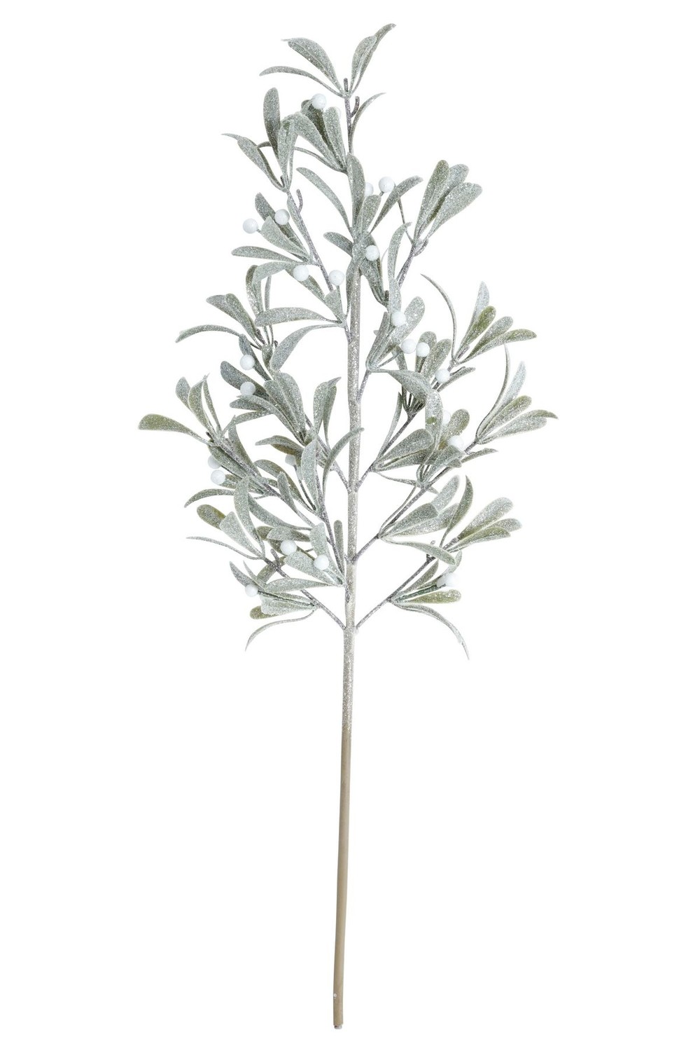 Kvist Cypress Bär 71 cm