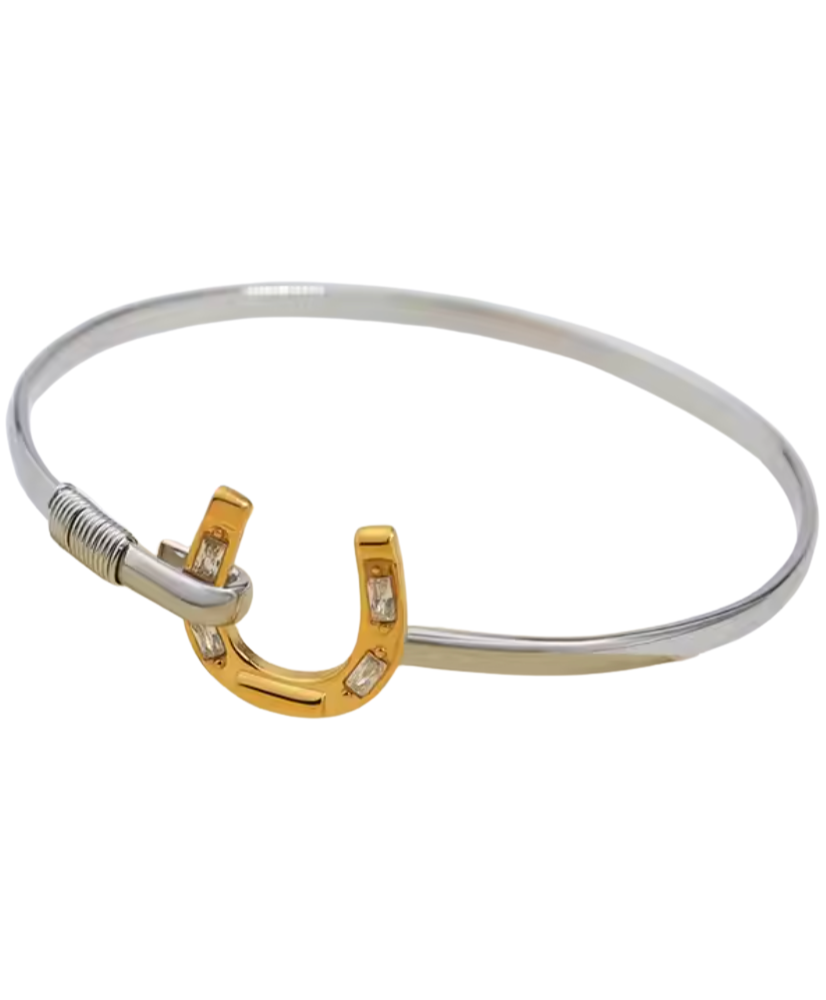 Steel Horseshoe