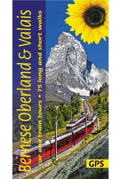Bernese Oberland & Valais Sunflower