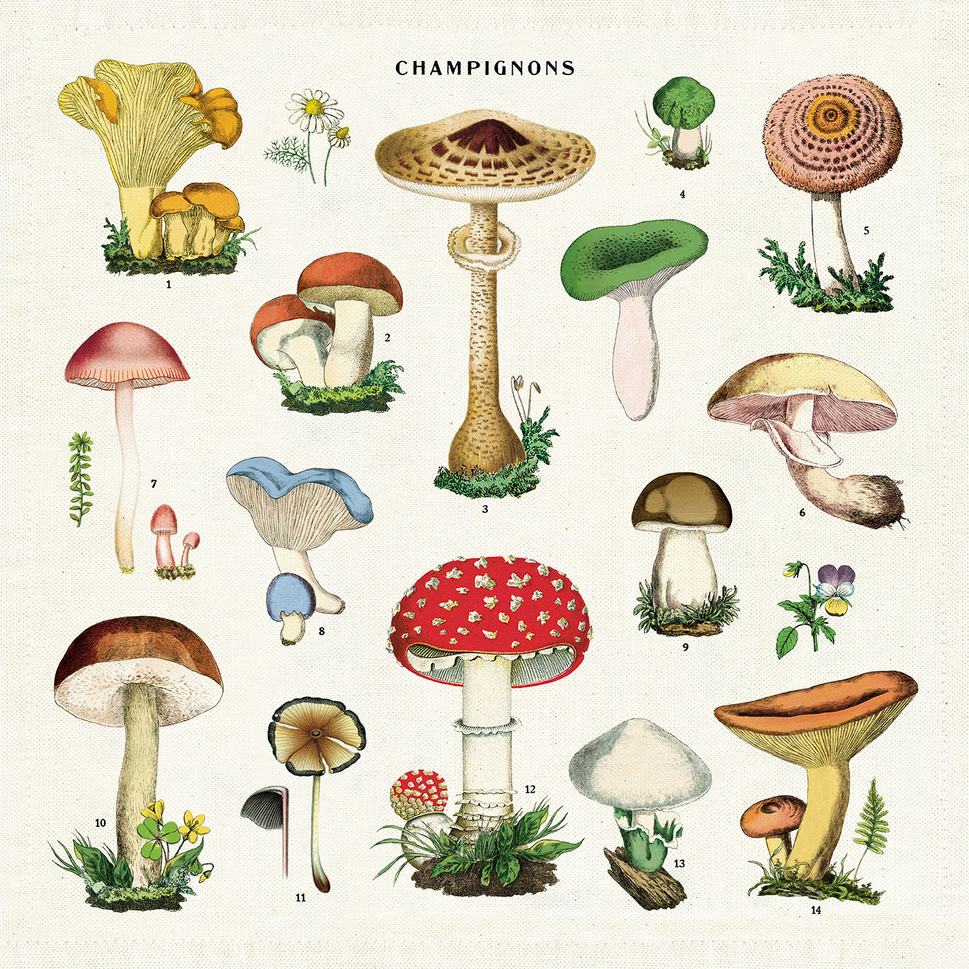 Mushrooms Vintage Napkins, Tygservetter set om 4
