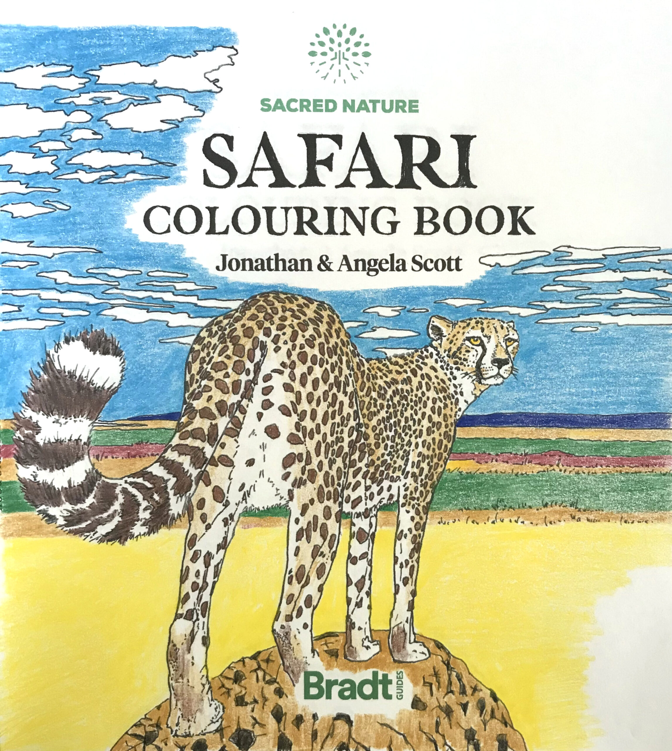 The Safari Colouring Book Bradt
