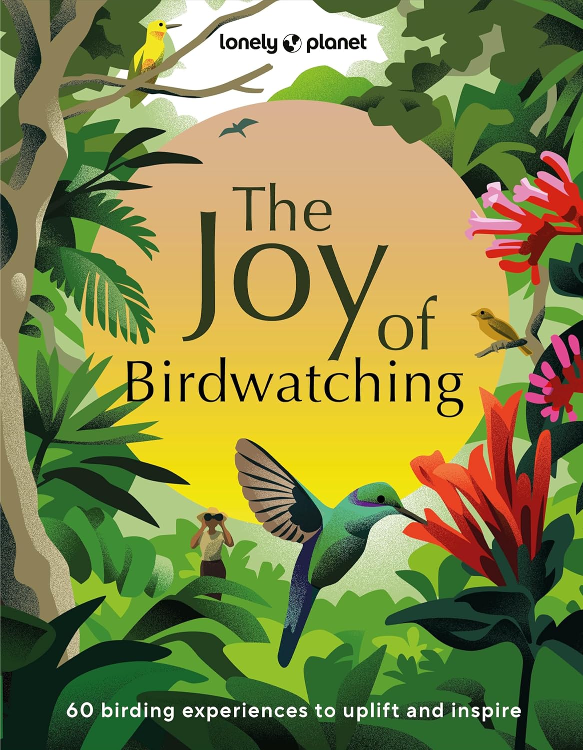 The Joy of Birdwatching Lonely Planet