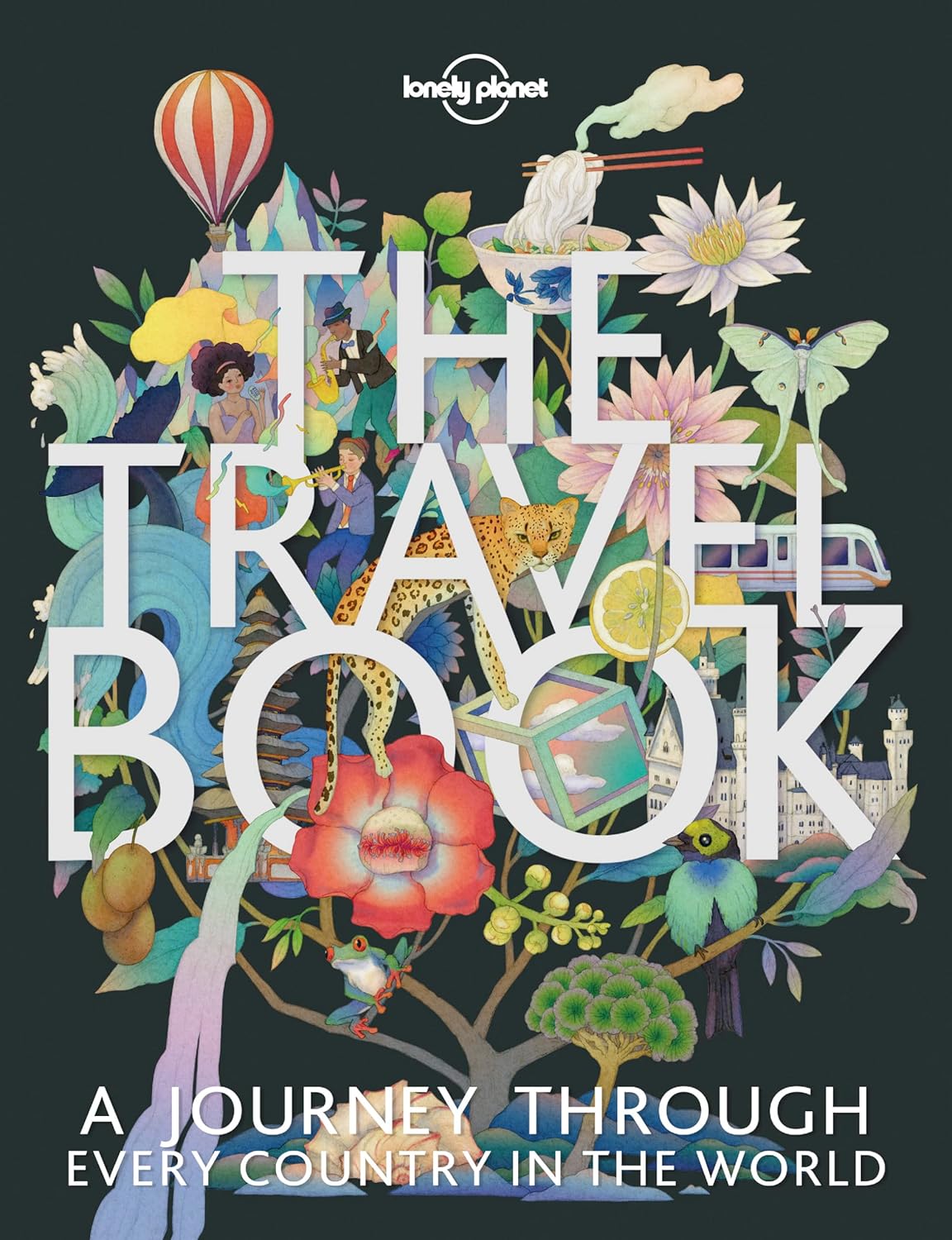 The Travel Book Lonely Planet paperback