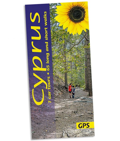 Cyprus Sunflower