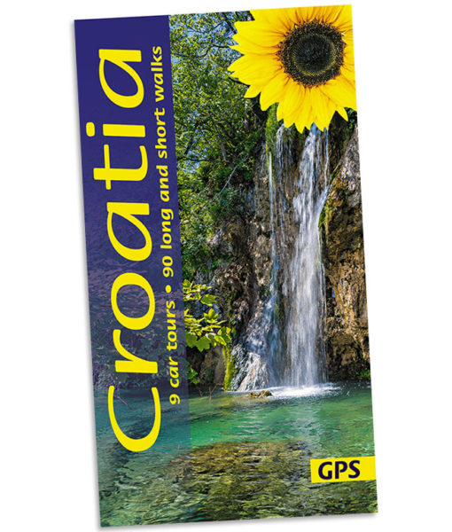 Croatia Sunflower