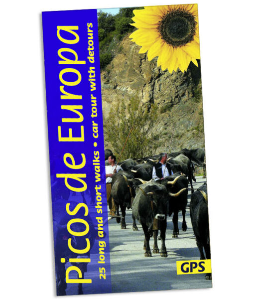 Picos de Europa Sunflower