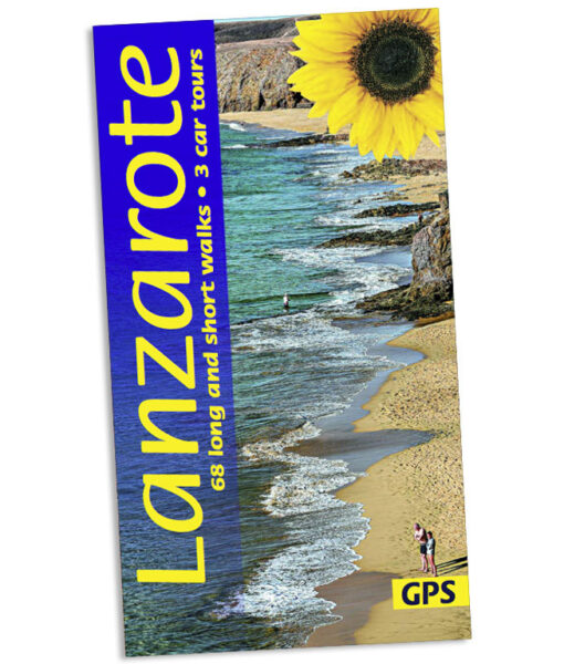 Lanzarote Sunflower