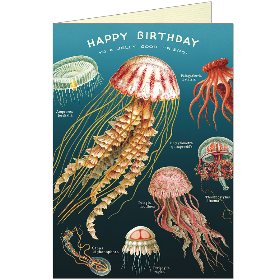 Happy Birthday Jellyfish Greeting Card