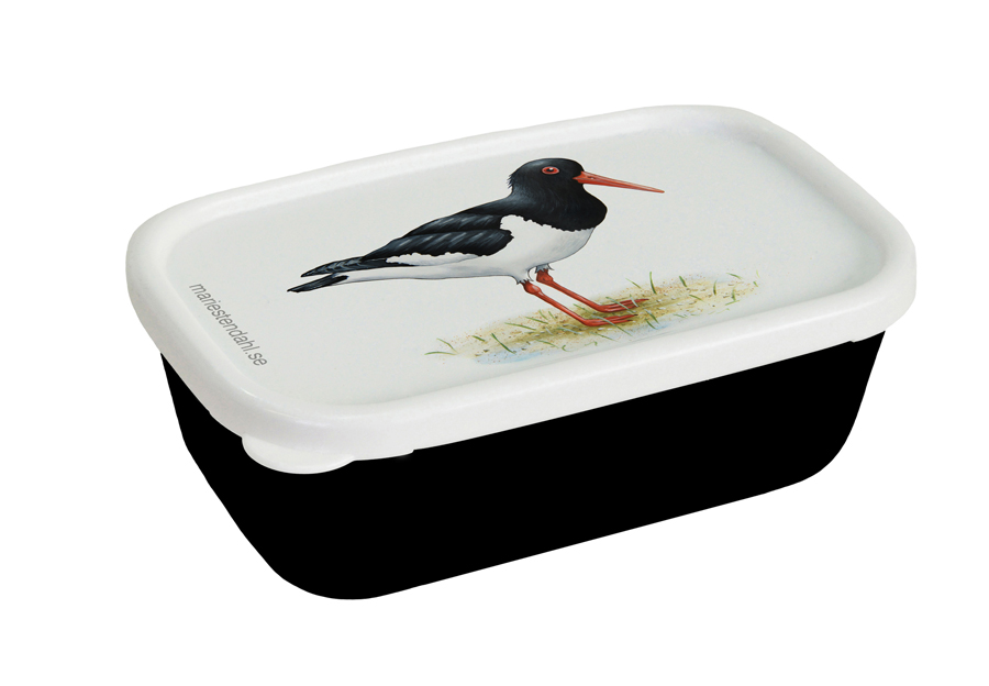Minibox Strandskata