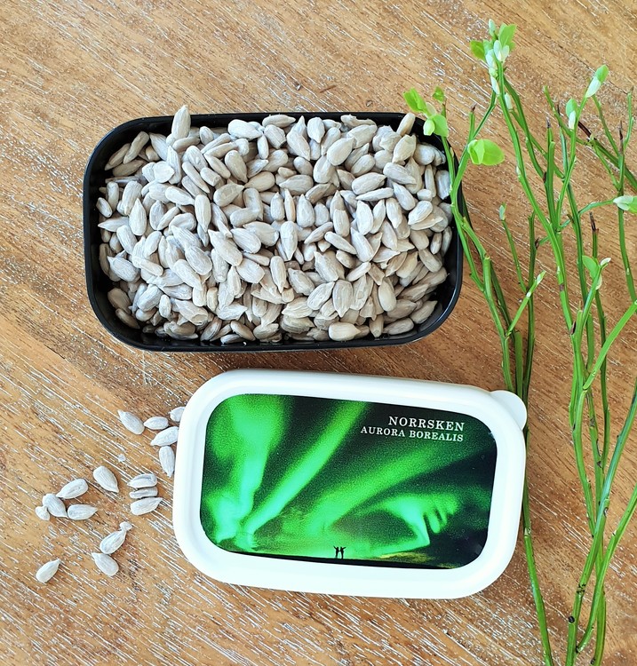 Minibox Norrsken