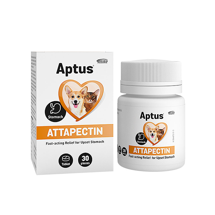 Attapecitin Tabletter Aptus 30st