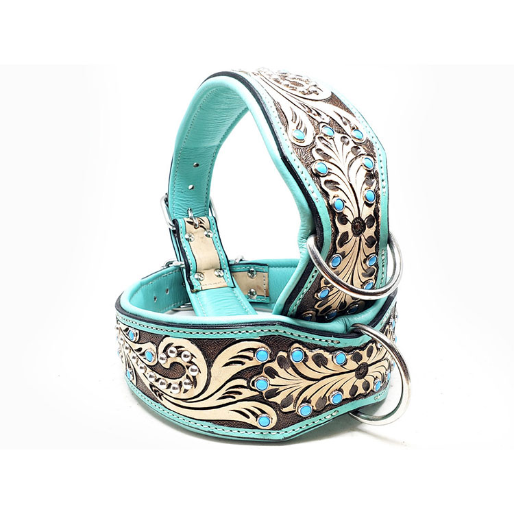 Lyxigt Hundhalsband Turkos