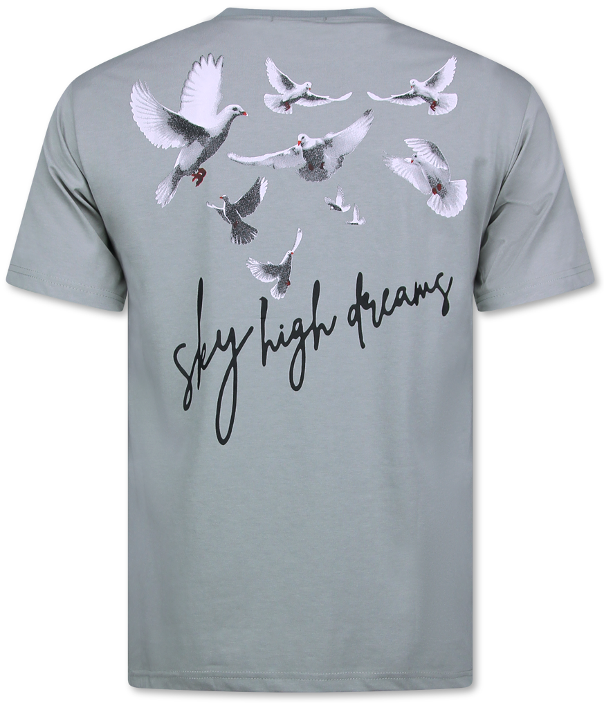 Oversize T-Shirt Herr - T-Shirt Herr Med Tryck - Rolig Skjorta - Grå