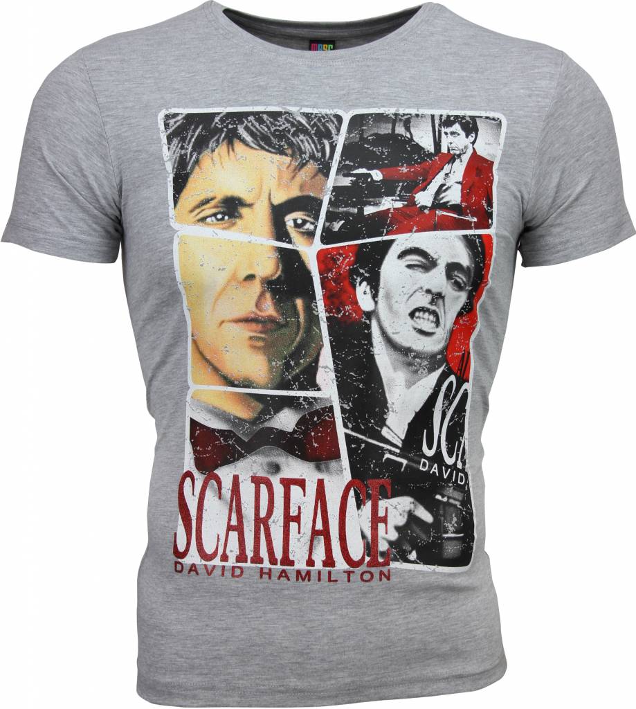 Scarface Frame Print - Herr T-Shirt Grå