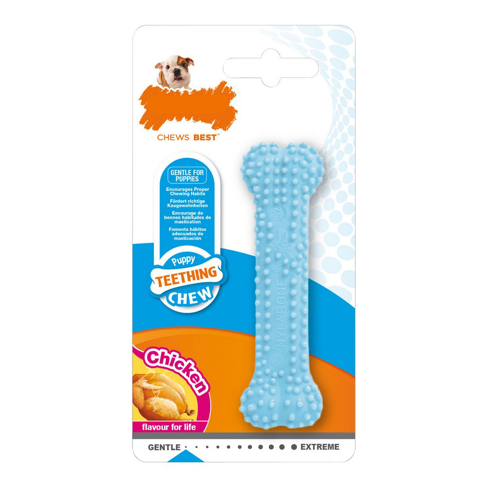Tuggleksak för hundar Nylabone Blå Termoplast Kyckling XS