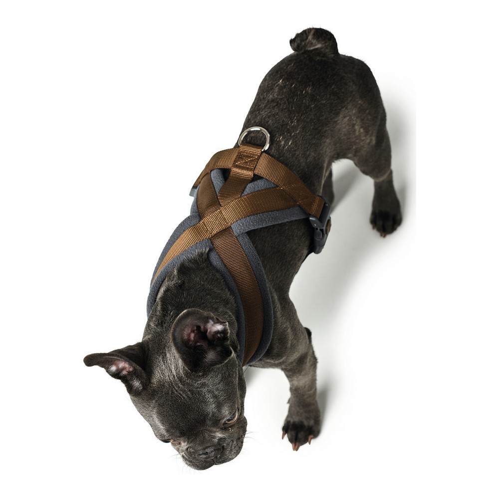 Hundsele Hunter London Comfort 48-56 cm Brun Storlek S/M
