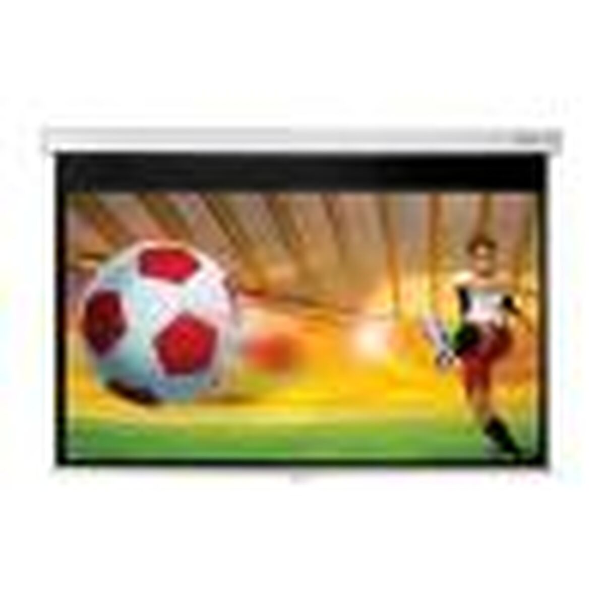 Projektionsduk Optoma DS-9092PWC