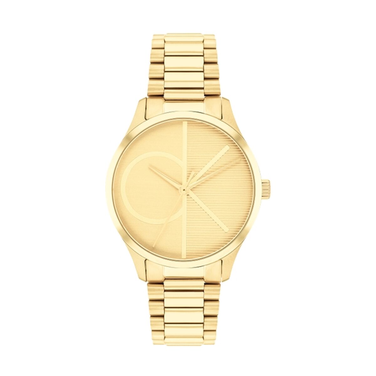 Damklocka Calvin Klein 25200346