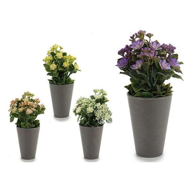 Dekorativ växt Ibergarden Plast 11 x 22 x 11 cm