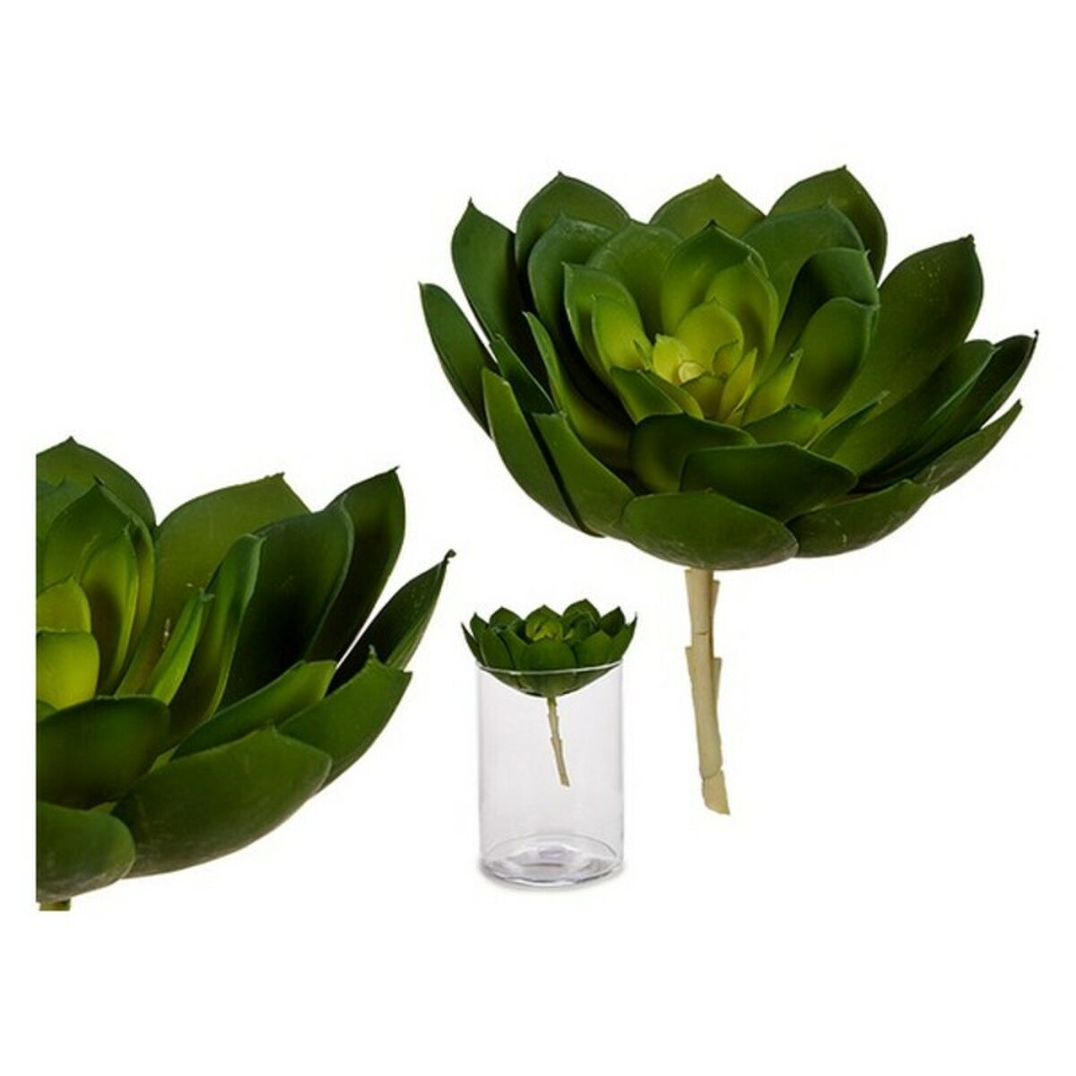 Dekorativ växt Ibergarden YD180138 Plast
