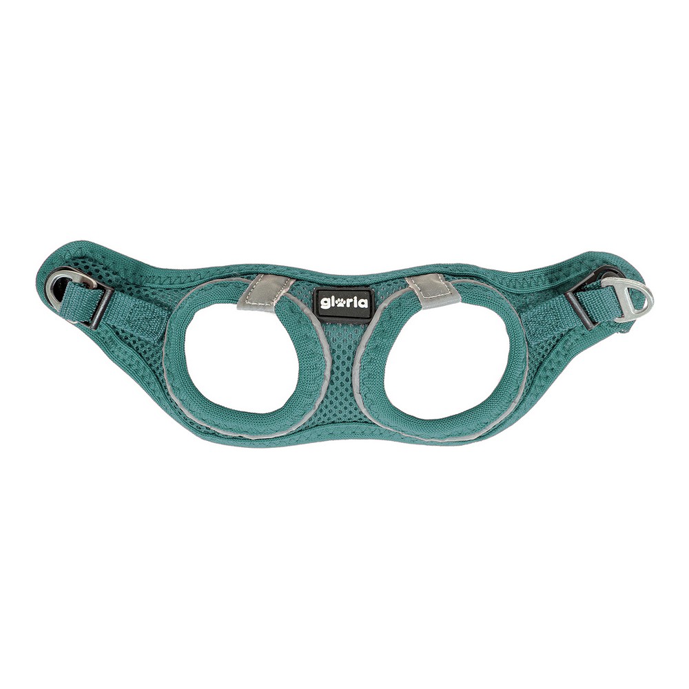 Hundsele Gloria Air Mesh Trek Star Justerbar Turkos Storlek XXXS (18-20 cm)