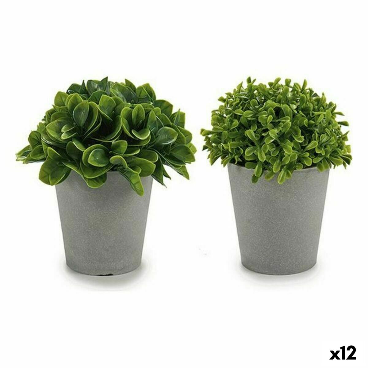 Dekorativ växt Ibergarden A18124-128-1 Plast 13 x 17 x 13 cm (12 antal)