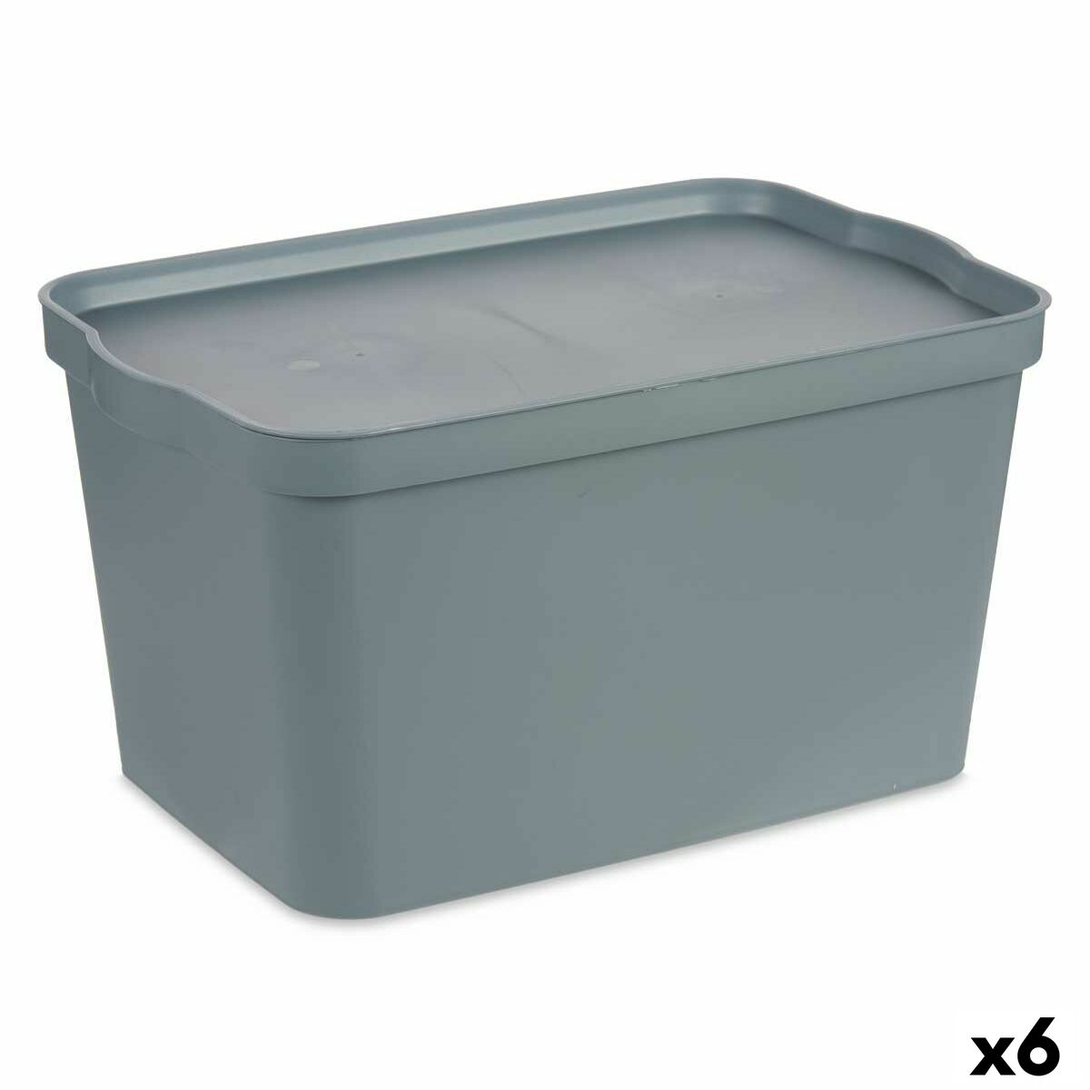 Förvaringslåda med lock Kipit TP596-2 Grå Plast 24 L 29,3 x 24,5 x 45 cm (6 antal)
